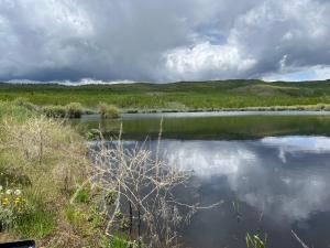 Soda wetlands pond 5