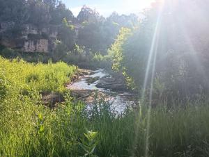 Canyon-Creek-Restoration-midway-upstream -c-Trey-Davis-TNC